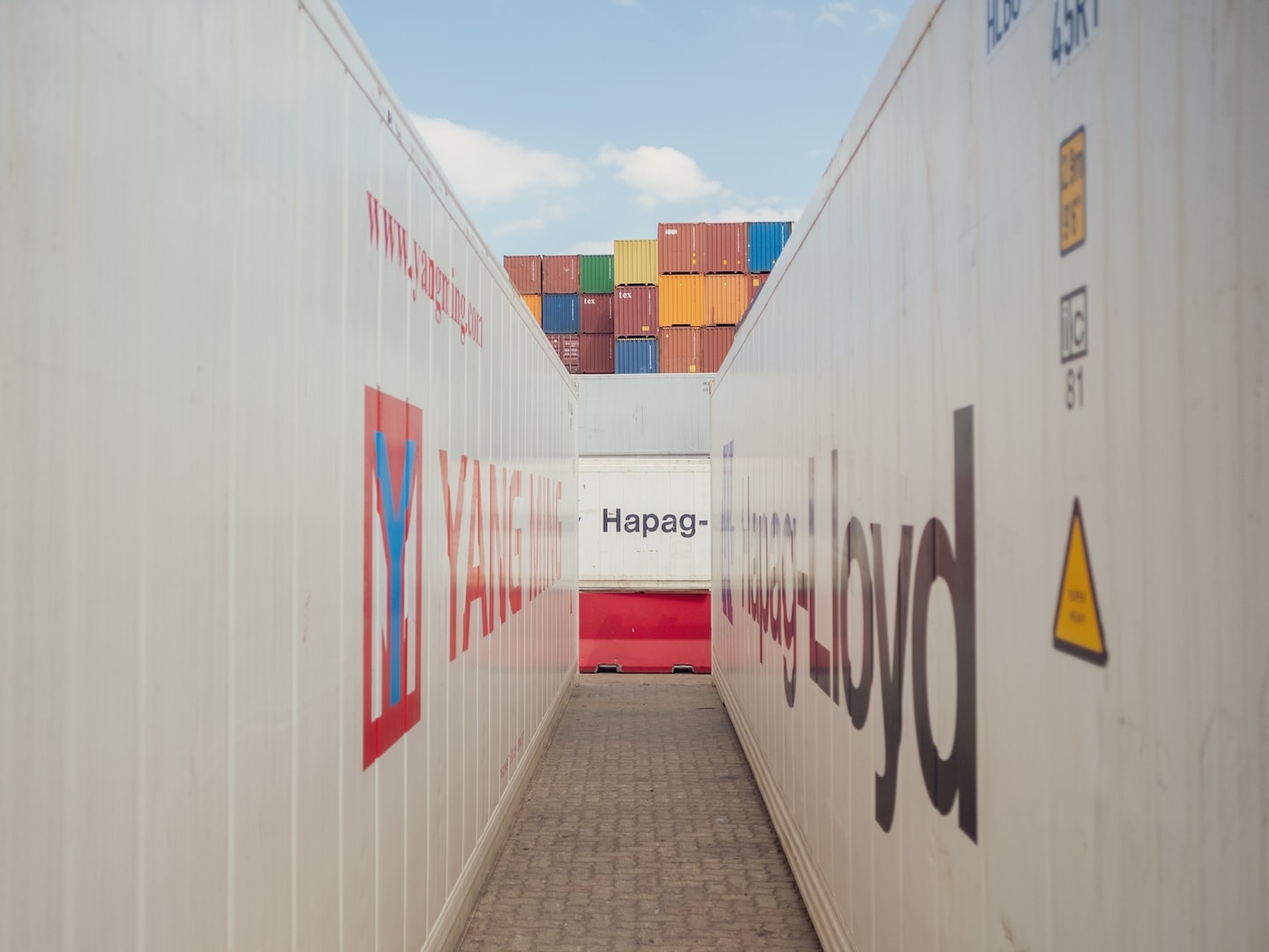 Solent Stevedores: London Gateway container services - Image 9