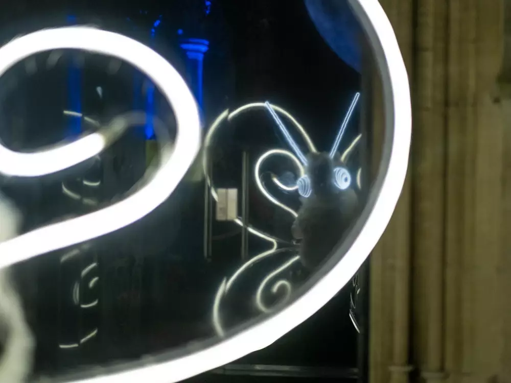 Olana Light Fly Like a Butterfly - Multi Location Live Performance Filming - Image 3