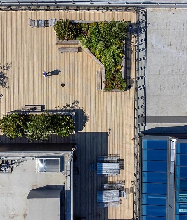 Plantitecture: aerial video for ‘living walls’ in Manchester - Image 1