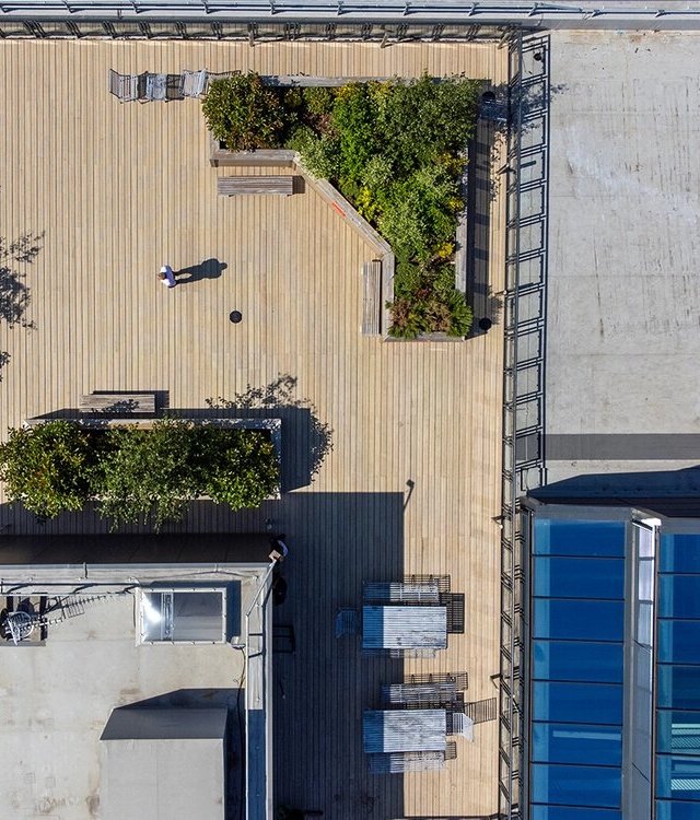 Plantitecture: aerial video for ‘living walls’ in Manchester - Image 1