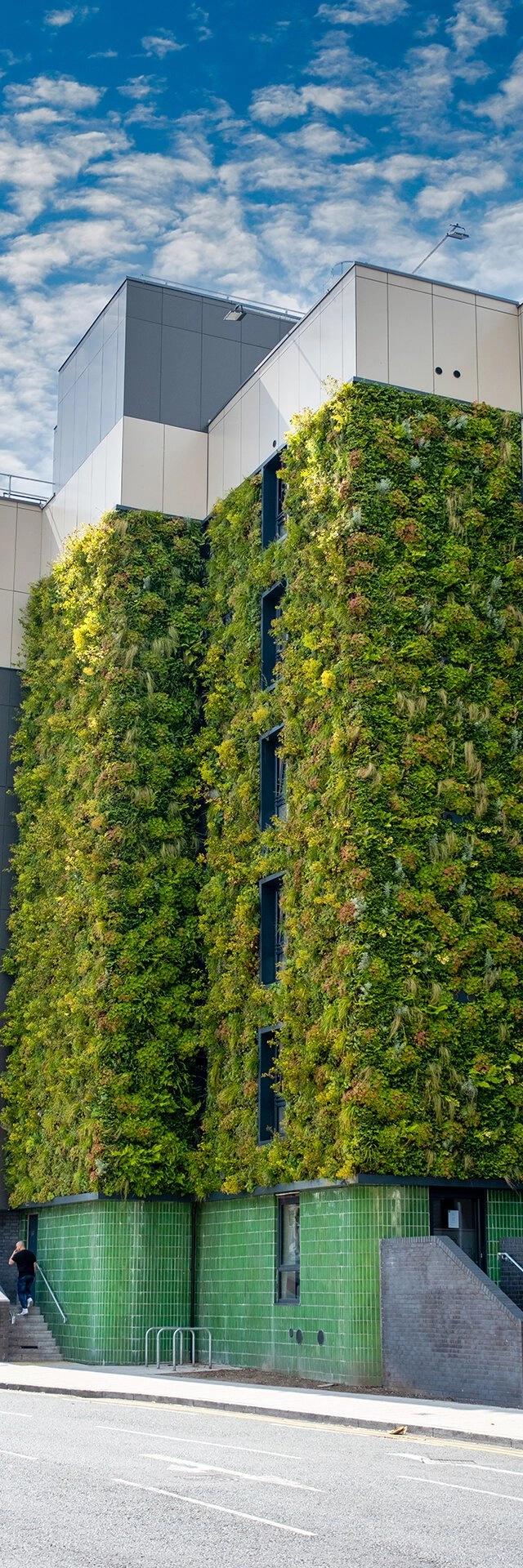 Plantitecture: aerial video for ‘living walls’ in Manchester - Image 5