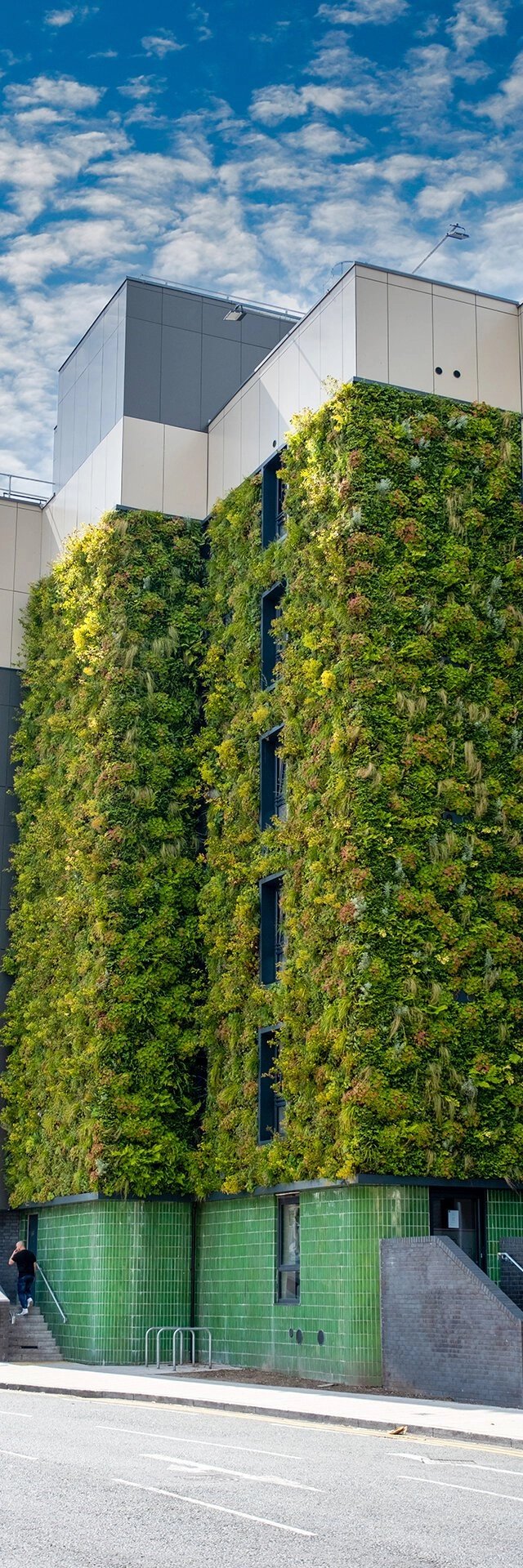 Plantitecture: aerial video for ‘living walls’ in Manchester - Image 5