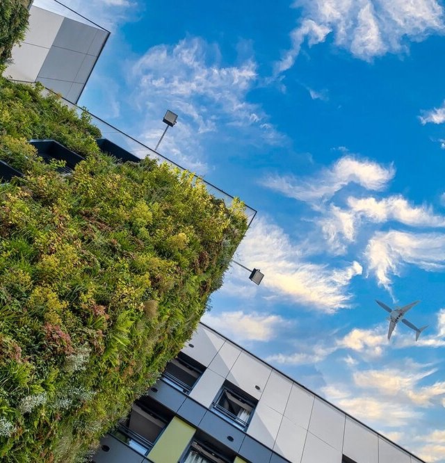 Plantitecture: aerial video for ‘living walls’ in Manchester - Image 6