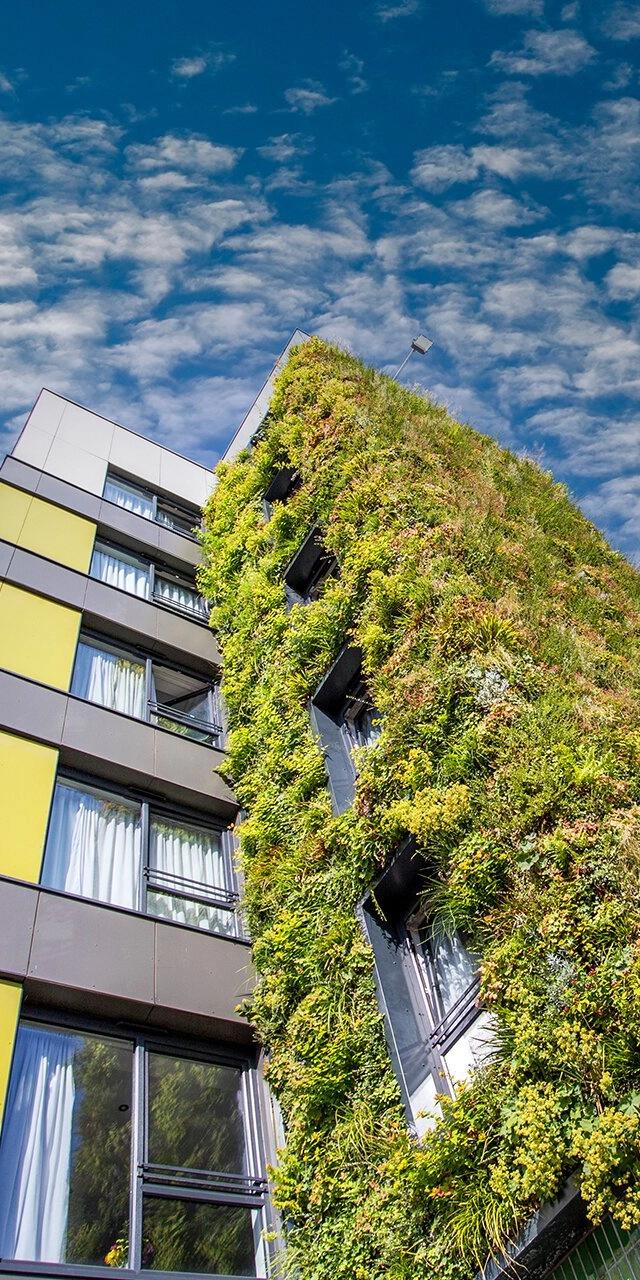 Plantitecture: aerial video for ‘living walls’ in Manchester - Image 7