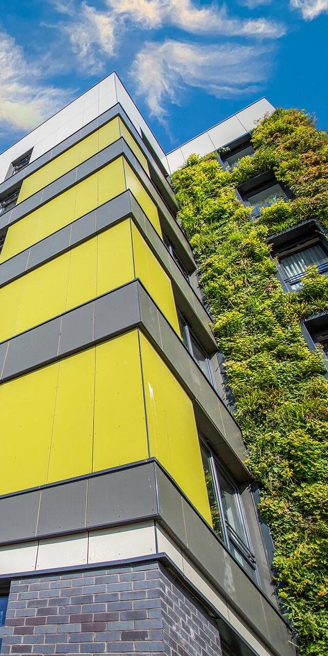 Plantitecture: aerial video for ‘living walls’ in Manchester - Image 8
