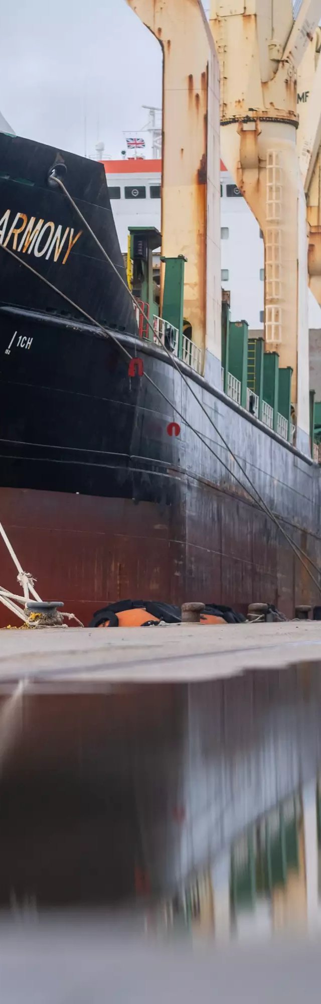 Hull of the cargo ship Pacific Harmony berthed at ABP Southampton, reflected in surface water on the quayside
